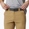 Columbia Silver Ridge II men's trekking shorts 243 beige 1794931 4