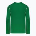 Nike Dri-FIT Park 20 Crew pine green/white children's football sweatshirt 2