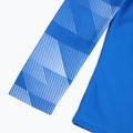 Nike Dry-Fit Park IV children's football sweatshirt blue CJ6072-463 4