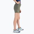 Columbia Firwood Camp II women's hiking shorts green 1885313 4