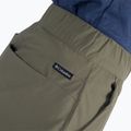Columbia Firwood Camp II women's hiking shorts green 1885313 5