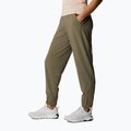 Columbia Pleasant Creek Warm Jogger brown women's trekking trousers 1960113 2