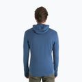 Men's Icebreaker Merino 260 Quantum IV dawn trekking sweatshirt 3