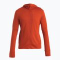 Men's Icebreaker Merino 260 Quantum IV molten trekking sweatshirt 7