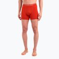 Men's thermal boxer shorts icebreaker Anatomica molten 3