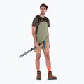 Men's Icebreaker Merino Cool-Lite Sphere III SS Tee Colour Block lichen/loden trekking t-shirt 5