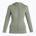 Icebreaker women's trekking jacket Merino 260 Quantum IV lichen 6