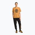 Men's Timberland Tfo Tree Logo wheat boot shirt 2