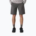 Patagonia men's Terravia Trail 10" forge grey shorts