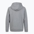 Women's trekking sweatshirt Patagonia P-6 Label Uprisal Hoody gravel heather 2