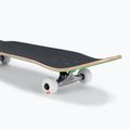 Globe Goodstock classic skateboard green 6
