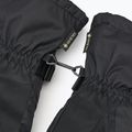 Women's Dakine Sequoia Gore-Tex Snowboard Glove black 6