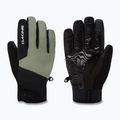 Men's snowboard gloves Dakine Impreza Gore-Tex Glove mulled basil