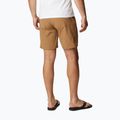 Columbia Maxtrail Lite 257 brown men's trekking shorts 1990471 2