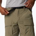 Columbia Maxtrail Lite 397 green men's trekking shorts 1990471 4