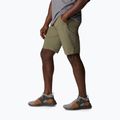 Columbia Triple Canyon 397 green men's trekking shorts 1711701 3