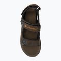 Columbia Trailstorm Hiker 3 Strap 231 brown men's trekking sandals 1987221 6