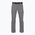 Men's trekking trousers Columbia Silver Ridge Utility city grey 7