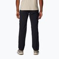 Men's trekking trousers Columbia Silver Ridge Utility black 2