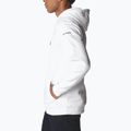 Columbia CSC Basic Logo II men's trekking sweatshirt white 1681664 3