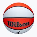 Wilson basketball 4