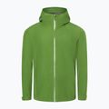 Men's Marmot Minimalist Pro Gore Tex rain jacket green M12351 4