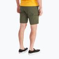 Men's trekking shorts Marmot Arch Rock Short 9" green M125864859 2