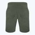 Men's trekking shorts Marmot Arch Rock Short 9" green M125864859 5