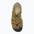 KEEN Newport men's trekking sandals 6