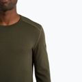 Men's Icebreaker 260 Tech Crewe thermal longsleeve loden 4