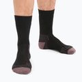 Icebreaker men's trekking socks Hike+ Medium Crew black/mink/monsoon 2