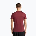 Men's trekking shirt icebreaker Merino 125 Cool-Lite Sphere III port 3