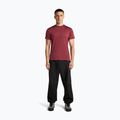 Men's trekking shirt icebreaker Merino 125 Cool-Lite Sphere III port 4