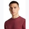 Men's trekking shirt icebreaker Merino 125 Cool-Lite Sphere III port 5