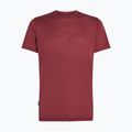 Men's trekking shirt icebreaker Merino 125 Cool-Lite Sphere III port 6