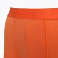 Men's thermal boxer shorts icebreaker Anatomica blaze 3