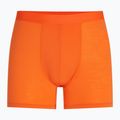 Men's thermal boxer shorts icebreaker Anatomica blaze