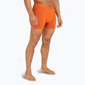 Men's thermal boxer shorts icebreaker Anatomica blaze 2