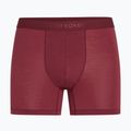 Men's thermal boxers icebreaker Anatomica Boxers port