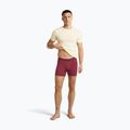 Men's thermal boxers icebreaker Anatomica Boxers port 5