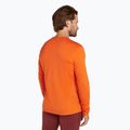 Men's Icebreaker 200 Oasis Crewe thermal longsleeve blaze 3