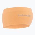 Icebreaker Merino 200 Oasis Headband feldspar