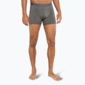 Men's thermal boxer shorts icebreaker Merino 125 Cool-Lite Anatomica gritstone heather 2