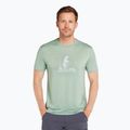 Men's Icebreaker Merino 150 Tech Lite Polar Paddle trekking shirt moss