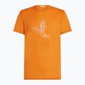 Men's Icebreaker Merino 150 Tech Lite Skiing T-shirt Yeti ray 6