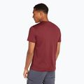Men's Icebreaker Merino 150 Tech Lite Southern Constellation port trekking shirt 3
