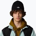 Men's trekking cap The North Face Norm Beanie black 4