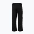 Men's ski trousers The North Face Chakal black NF0A5IYVJK31 6