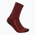 Icebreaker men's trekking socks Hike+ Medium Crew port/blaze/bittersweet