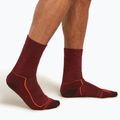 Icebreaker men's trekking socks Hike+ Medium Crew port/blaze/bittersweet 2